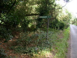 Oct 2013: 7C and road looking east